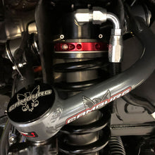 Load image into Gallery viewer, Photo - Primary