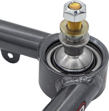 Load image into Gallery viewer, Photo - Close Up