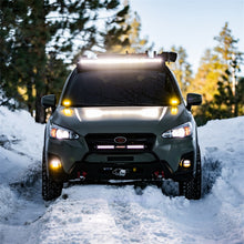 Load image into Gallery viewer, Photo - Mounted